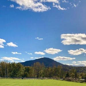 Meet your Posher, Yana